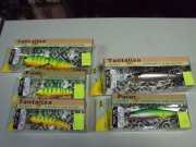 DSC03610.JPG