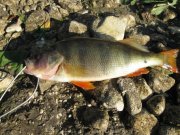 IMG_3422.jpg