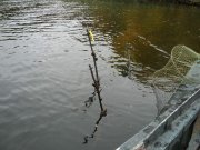 DSC04006.jpg