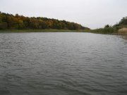 IMG_2342.jpg