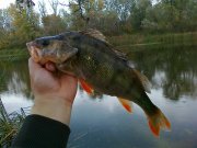 15102011124.jpg