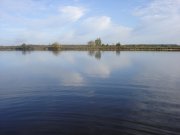 DSC07924.JPG