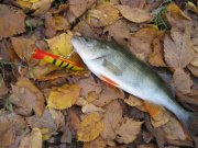 IMG_3444.jpg