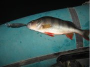 IMG_0095.JPG