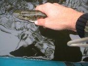 IMG_0099.JPG