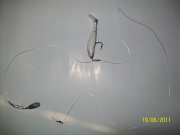 100_9396.jpg
