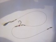 IMG_0243.jpg