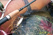 100_3352.jpg