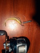 2011-10-23 00.10.37.jpg