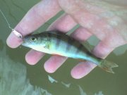 DSC00540.JPG