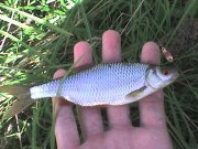 DSC00571.JPG