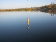 IMG_0480.jpg