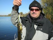 IMG_0482.jpg
