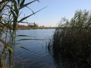 IMG_0485.jpg