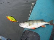 IMG_0111.JPG
