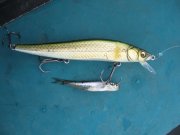 IMG_0105.JPG
