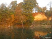10.11 154-1.JPG