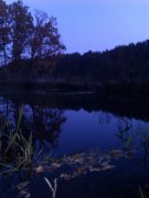 IMAG0820.jpg