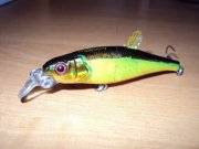 DSC03662.JPG