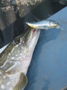 IMG_0132.JPG