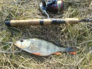 DSC00113.jpg