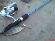 DSC00895.JPG