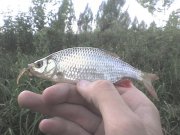 DSC00610.JPG