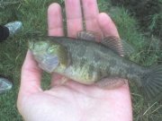 DSC00624.JPG