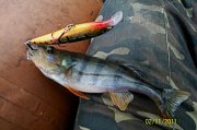 100_3409.jpg