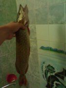 021120111520.jpg