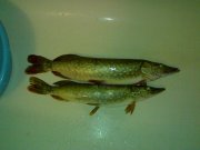 021120111519.jpg