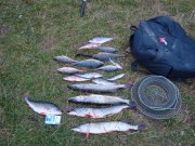 DSC05661.jpg