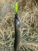 DSCF5704.jpg