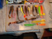 DSC01357.jpg