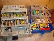 DSC01361.jpg