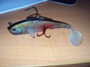Resize of DSC03709.JPG