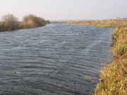IMG_0141.JPG