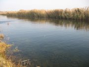 IMG_0142.JPG