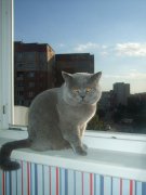 DSCF5315.jpg