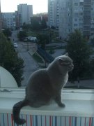 DSCF5331.jpg