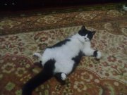 14022011017.jpg