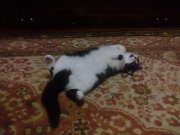 14022011018.jpg