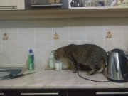29102011045.jpg