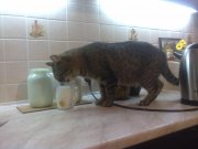 29102011046.jpg