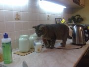 29102011047.jpg