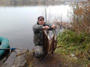 2011-11-06 15.25.30.jpg