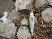 IMG_0489.jpg