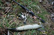 100_3434.jpg