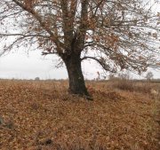 Панорама 3.jpg
