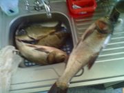 23072011187.jpg